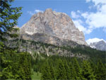 gal/2010/07 - Sella Ronda Bike Day 2010/03_il_mega_giro del sabato/_thb_16verso-il-falarego_03.jpg